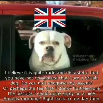 The americunts eh?
