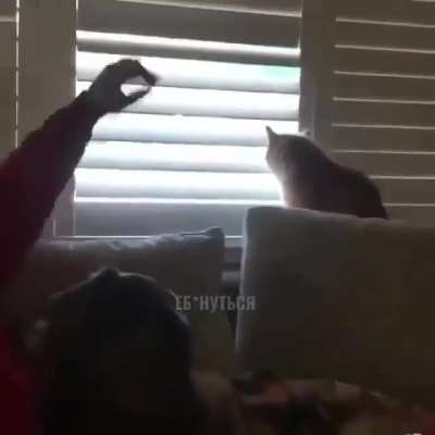 I want some Light