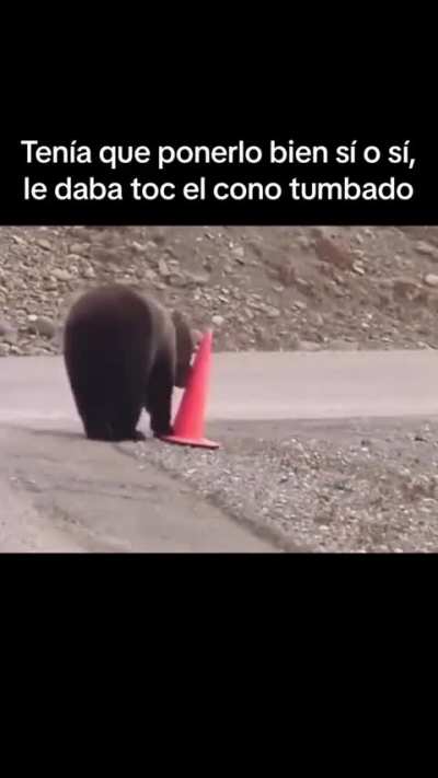 🐻