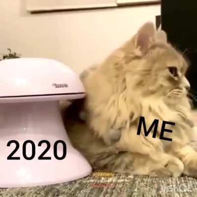 The hard task of ignoring how the years going so far