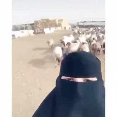 ♪ Hey my sheep... ♪ I love you deep... ♪ Walk with me... ♪ Sing with me... ♪