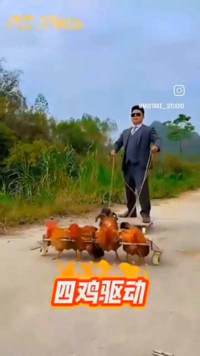 chiken