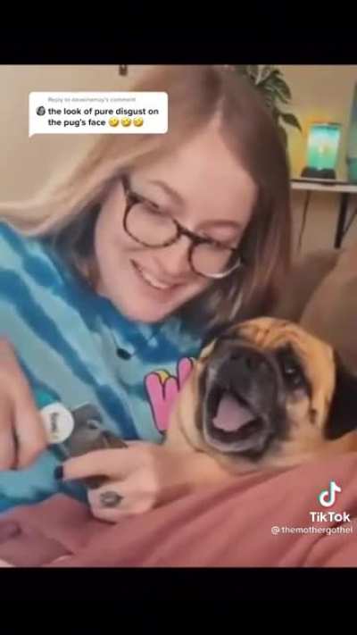 HORROR