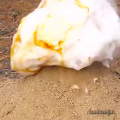 An amazing reaction.