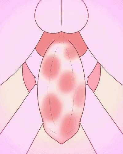 Sucking a Sylveon-Animated- [M] (Km-15)