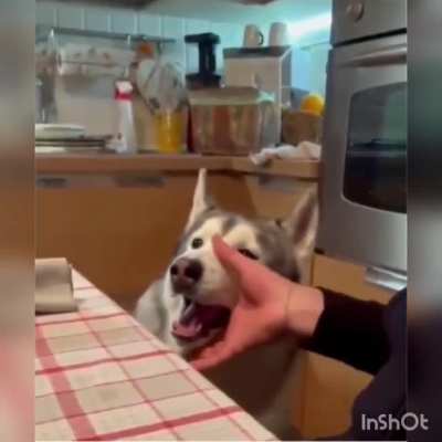 Rubrubrubrubrub.....ahhh