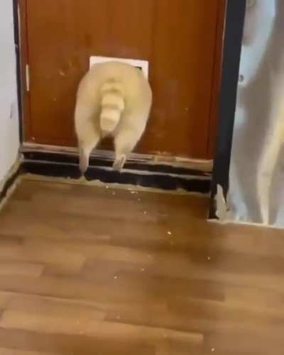 Ещё любит<wbr>ель фитнеса
