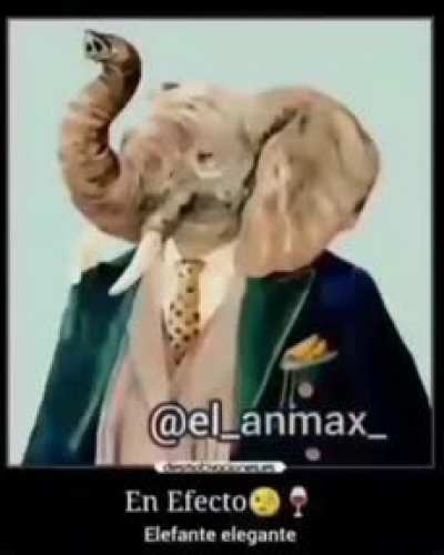 Re elegante mi pana