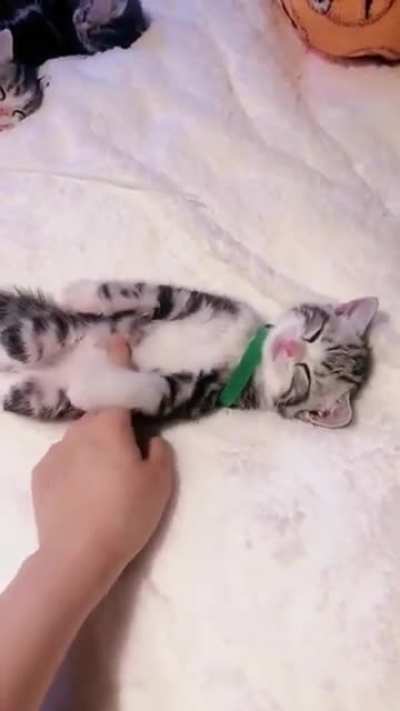 Belly ❤