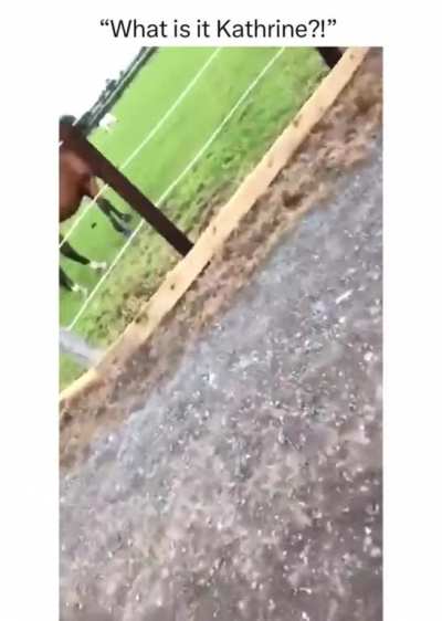 Is that his Willy? 😂