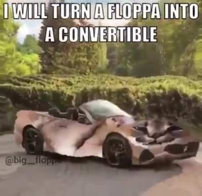 flopmobile