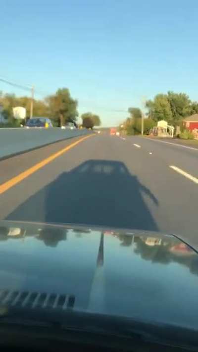 Not all idiots are bad, some can be pretty fun.