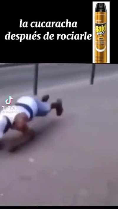 xd