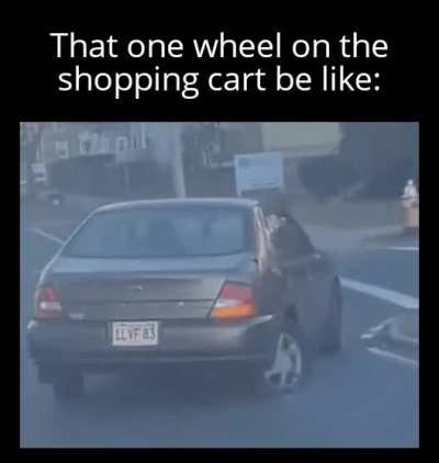 C'mon... go where I tell you to go