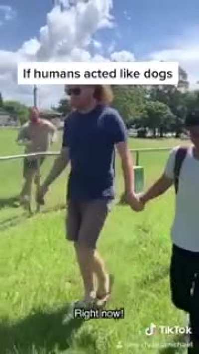 NOT THE FUCKING BELLY