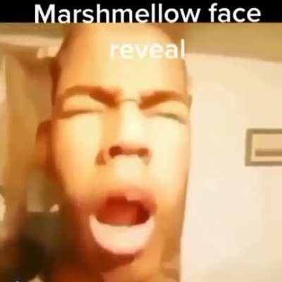 XD
