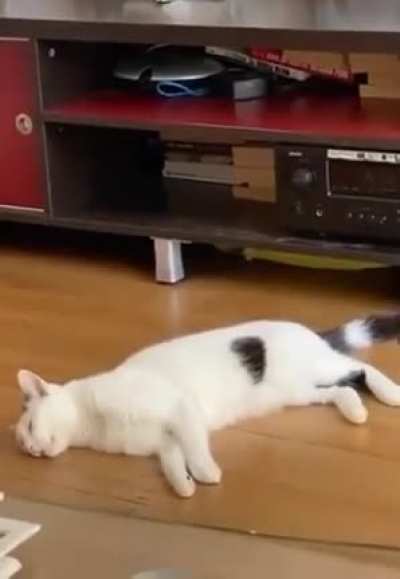 having a good dream or a night mare