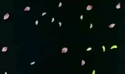 rama chakkani sita x ramayanam