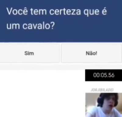 Cavalo