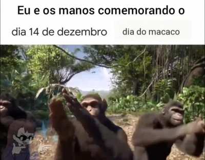 Vamboraaaa