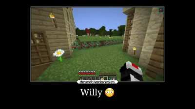 Willy 😳