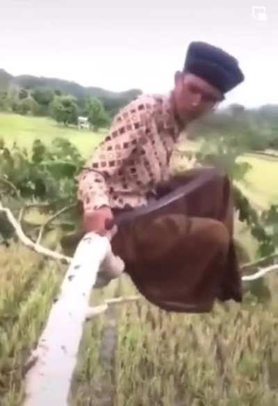 Chilling on a vine