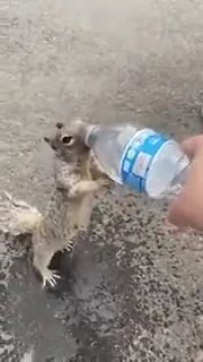 a lot of nuts make you thirsty