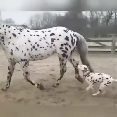 No that's not your mom.