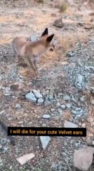 Ahhhhhhhh