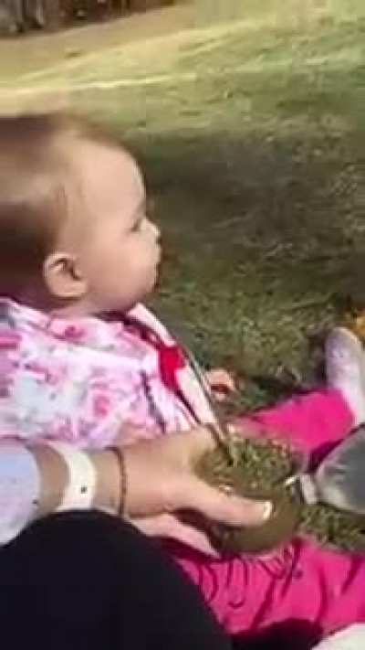 Tá pooooooooooooooooooooooooooooooooooooooooora meno ajuda ajuda pelo amor de Deus