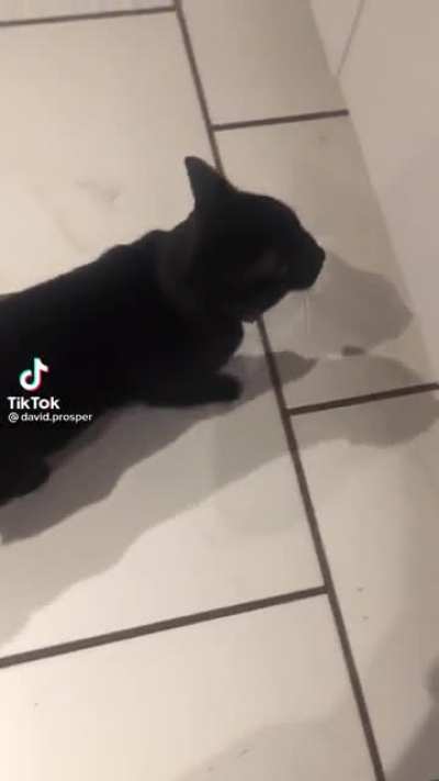 You don't tell another homie he has a little pp