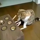 watch this video