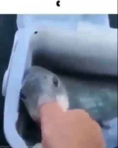 😲