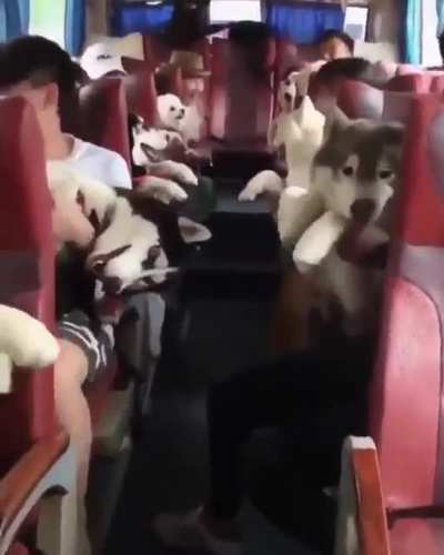 Зажигай!