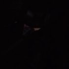 Gece gece kavga izliyorum. Karı sen bana orospu dedin diyo ağlıyor orayı burayı parçalıyor fln. Erkek de diyo böyle böyle yaptın bi de sıkışınca telefonu çıkarıp polisi ararım diyosun ara o zaman amına koduğum diyo. Bu da karının yap