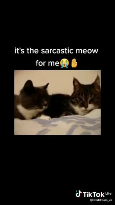 Meow