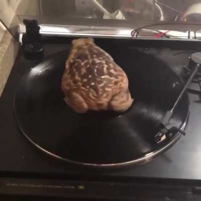 Froog