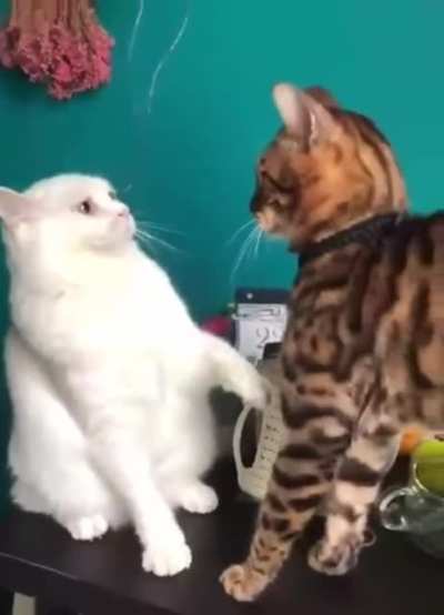 The face of regret.
