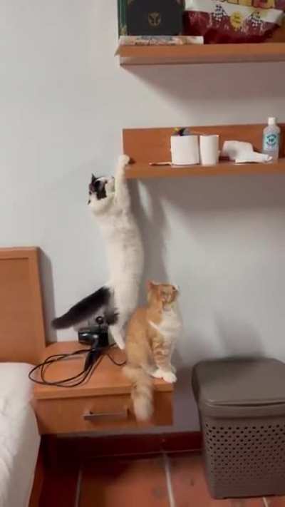 He’s doing pullups