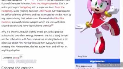 Amy rose fans in a nutshell