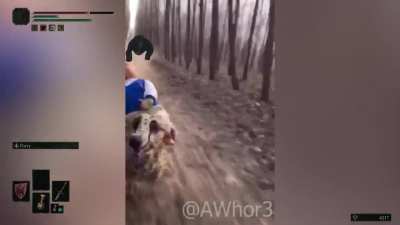 POV: You're travelling through the forest in Elden Ring