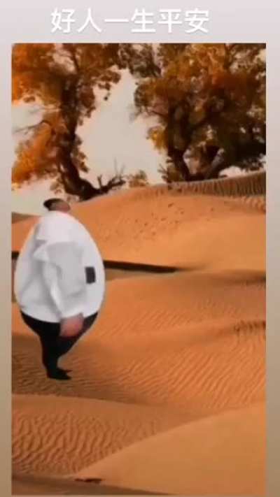 Oasis