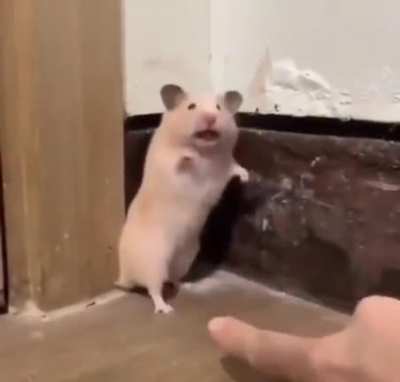 You seeing this dude touch my ass?