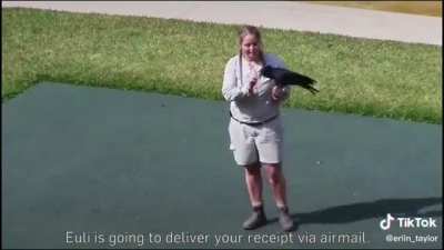 I thought the guy was too afraid of the bird at first...