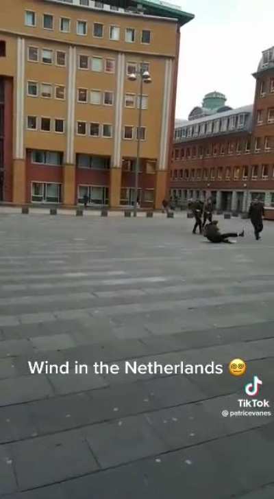 The Flying Dutchman