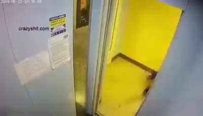hbrbrrrbrrrhubdub