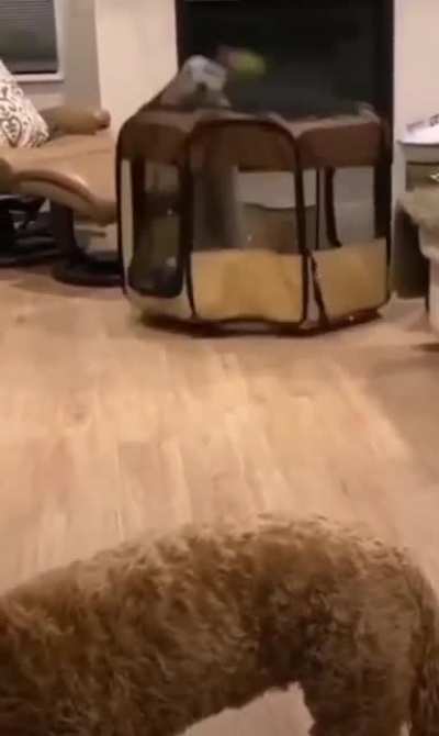 She was in 