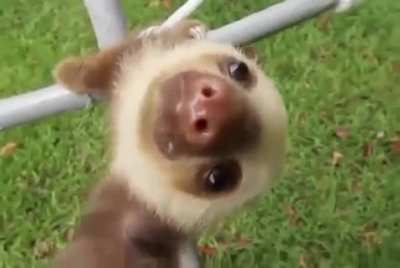 aaaaaa AAAA