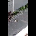 Monkey on a bicycle trying to kidnap a child...