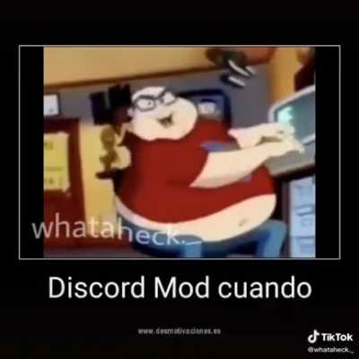 Los admins de discord